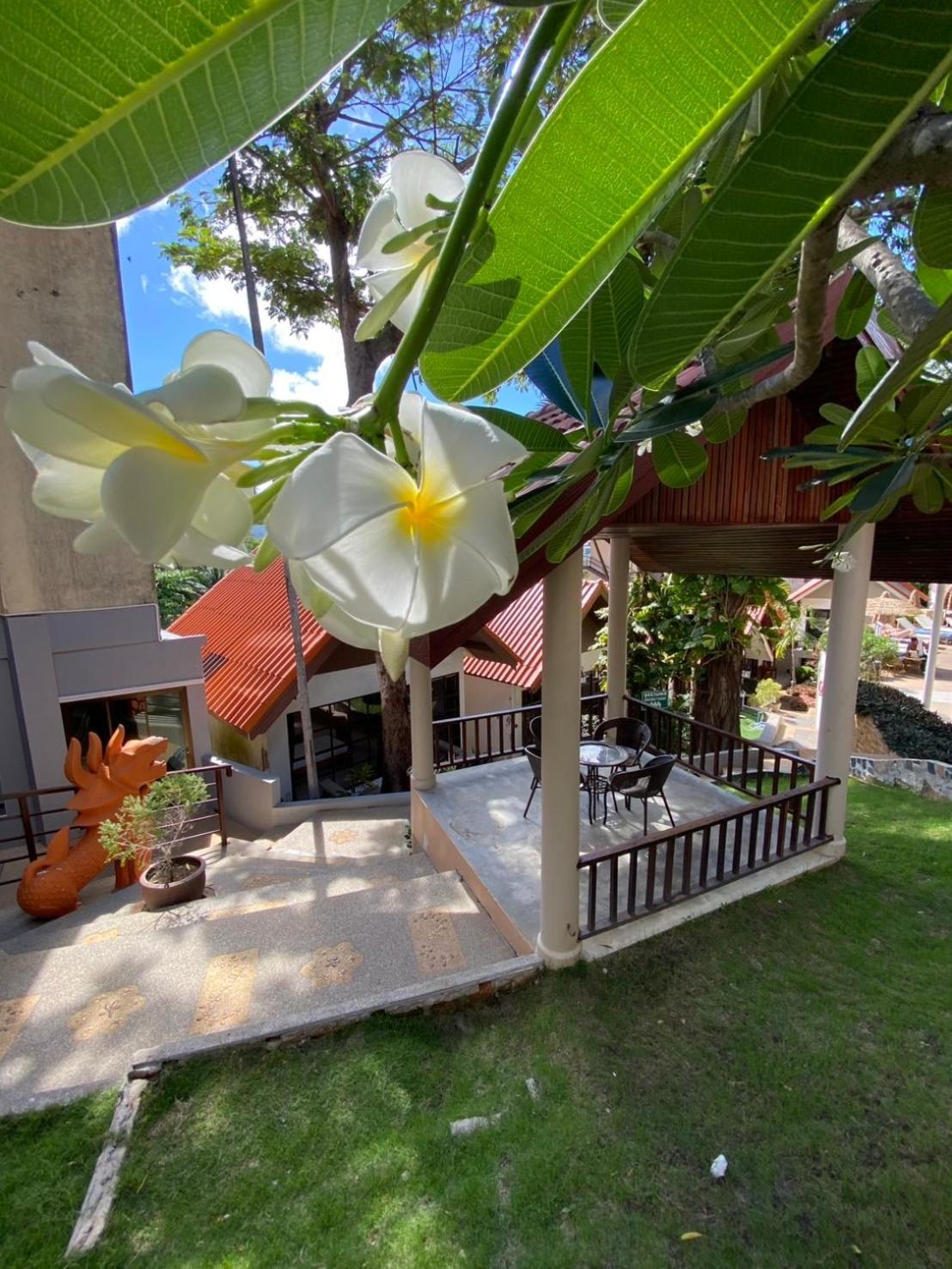 Club Bamboo Boutique Patong Beach Resort Exteriér fotografie